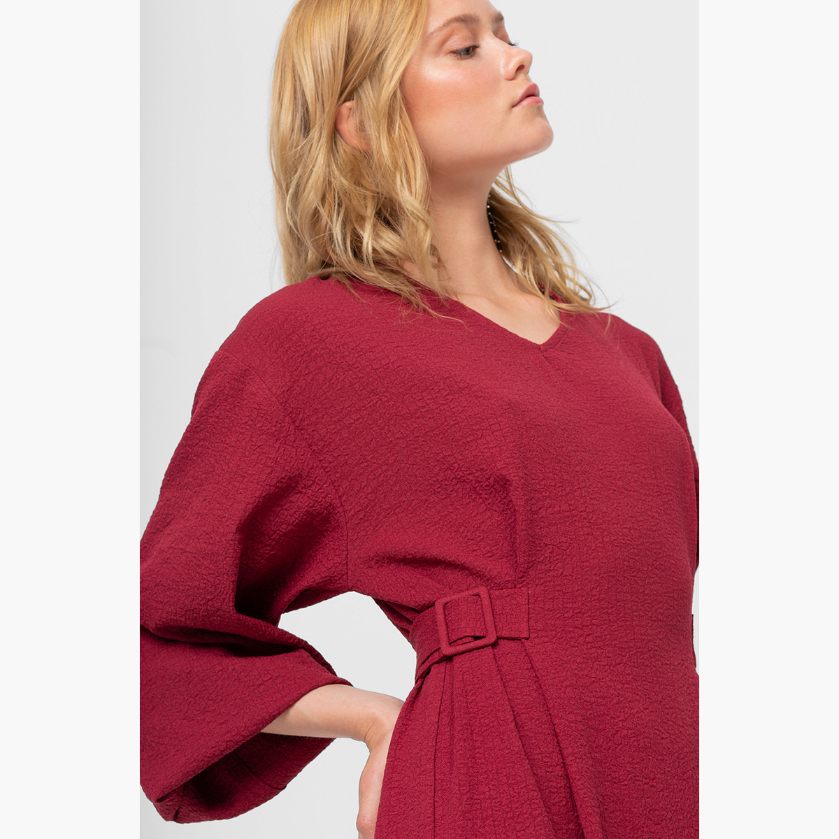 Rina Textured Midi A-line Belted Dress with V-neck and Long Sleeves-women-clothing-dresses-image-2