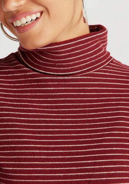 Striped Turtle Neck Sweater with Long Sleeves-Sweaters-image-2