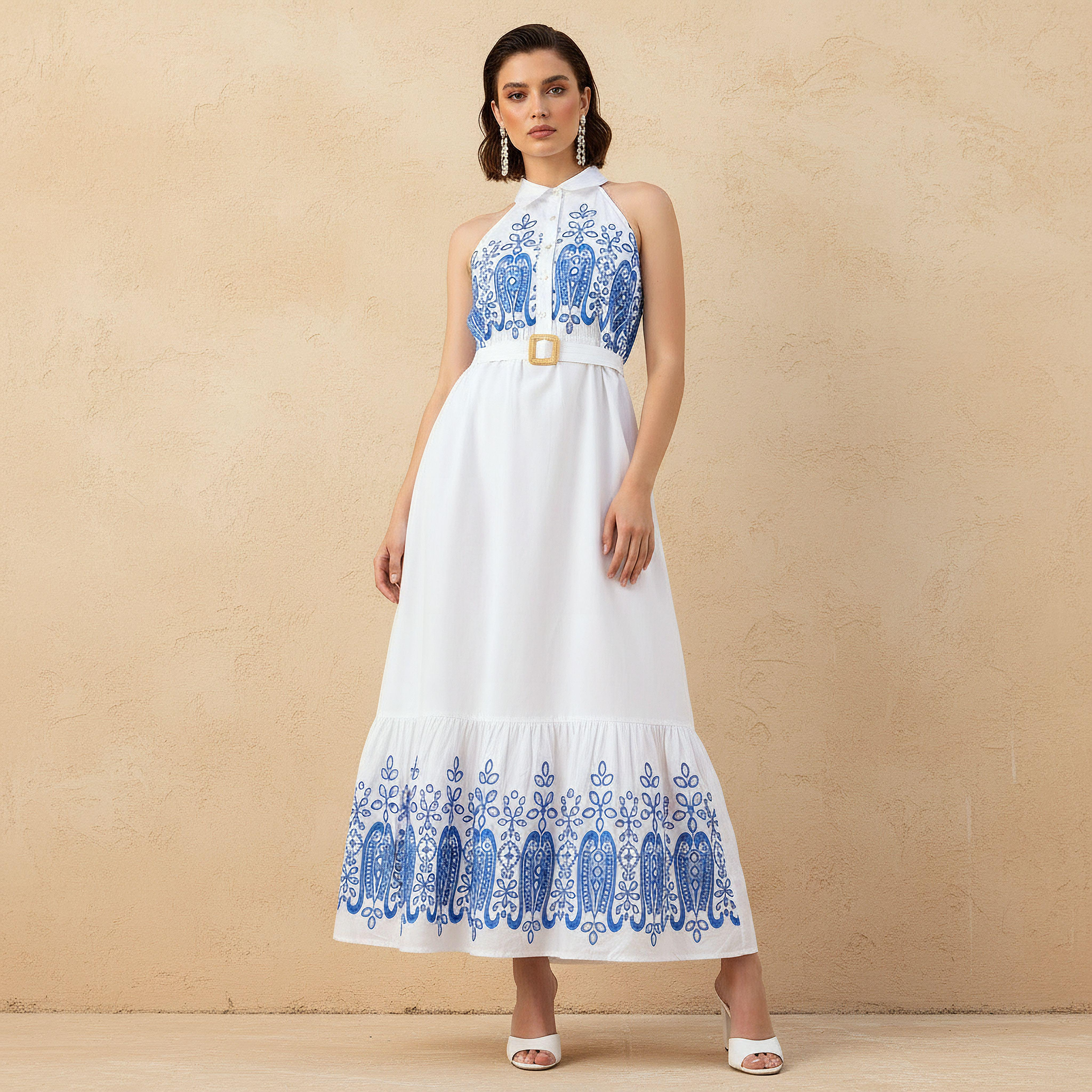 A-line Women Dress with Schiffli Embroidery Cotton-women-clothing-dresses-image-1