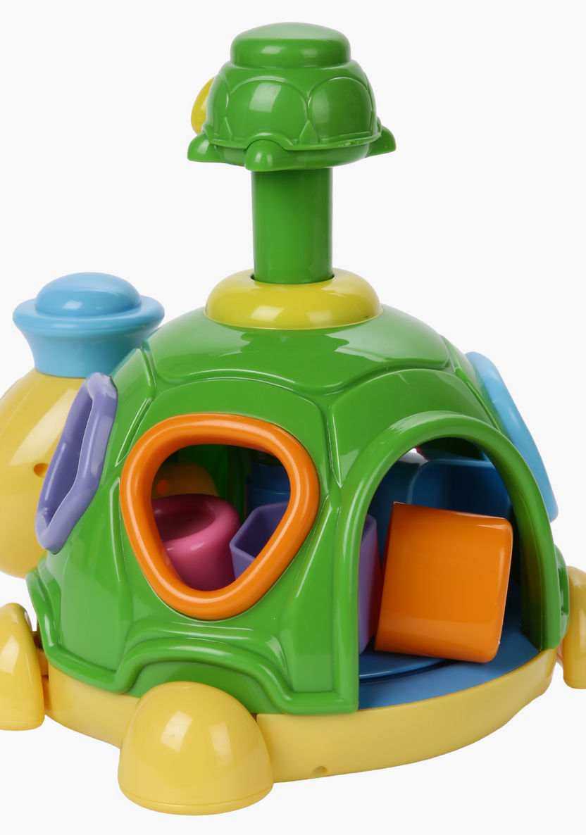 The Happy Kid Company Turtle Shape Learner-Baby and Preschool-image-2