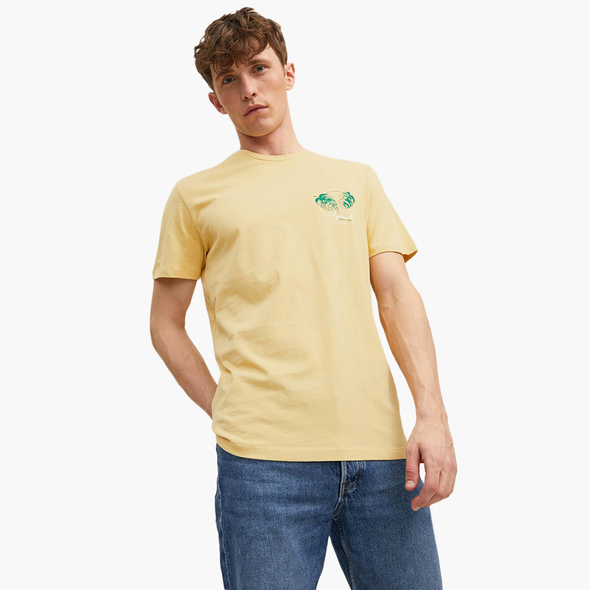 تي شيرت جاك آند جونز رجالي أصفر مطبوع بياقة مستديرة وأكمام قصيرة-men-clothing-tshirtsandpolos-tshirts-image-5
