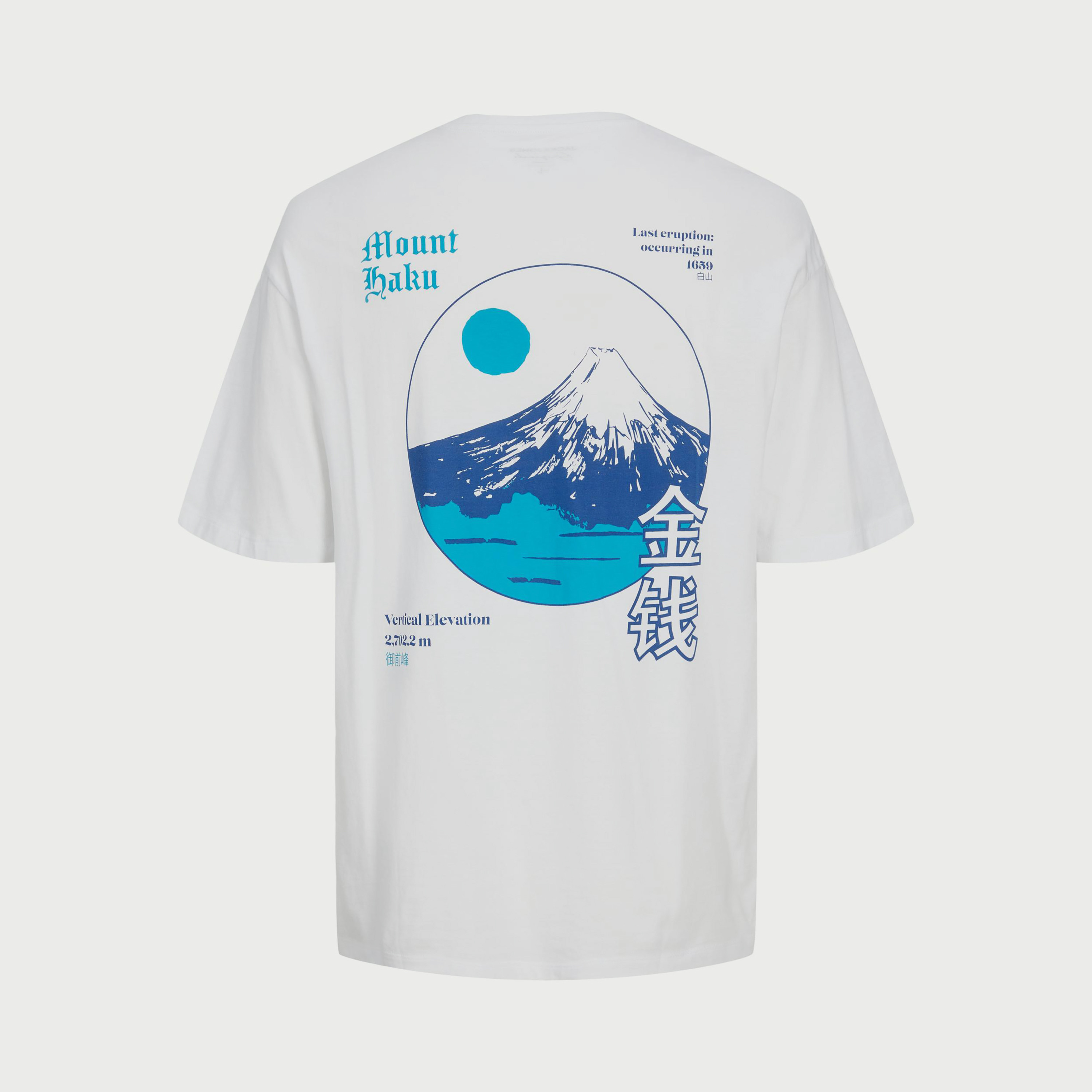 تي شيرت من جاك آند جونز مطبوع بأكمام قصيرة و ياقة مستديرة-men-clothing-tshirtsandpolos-tshirts-image-12