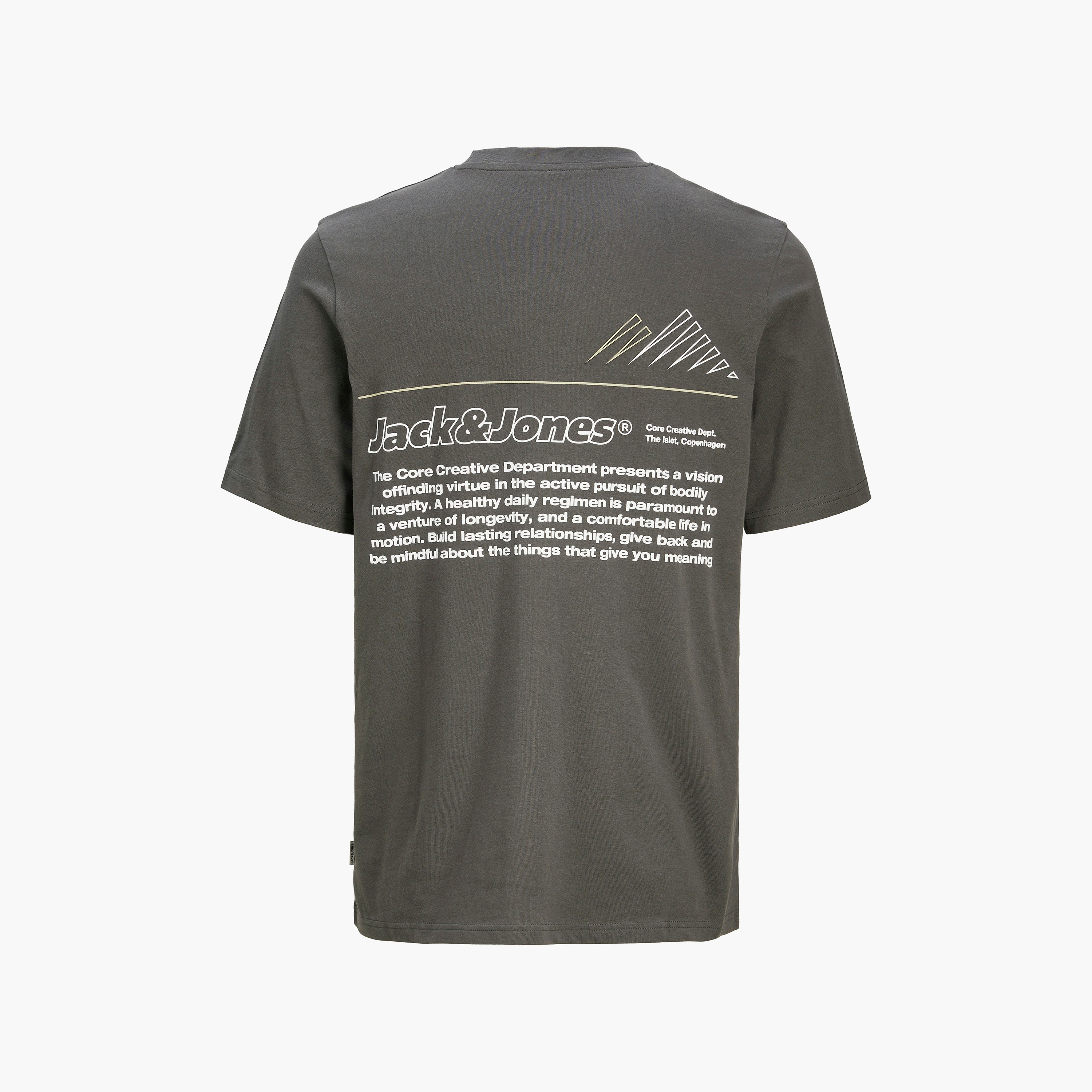 تي شيرت رجالي بأكمام قصيرة ورقبة دائرية وطبعة خطية من جاك اند جونز-men-clothing-tshirtsandpolos-tshirts-image-8