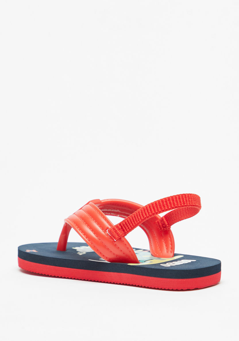 Aqua Dinosaur Print Slip-On Flip Flops with Elastic Strap-Boy%27s Flip Flops & Beach Slippers-image-1