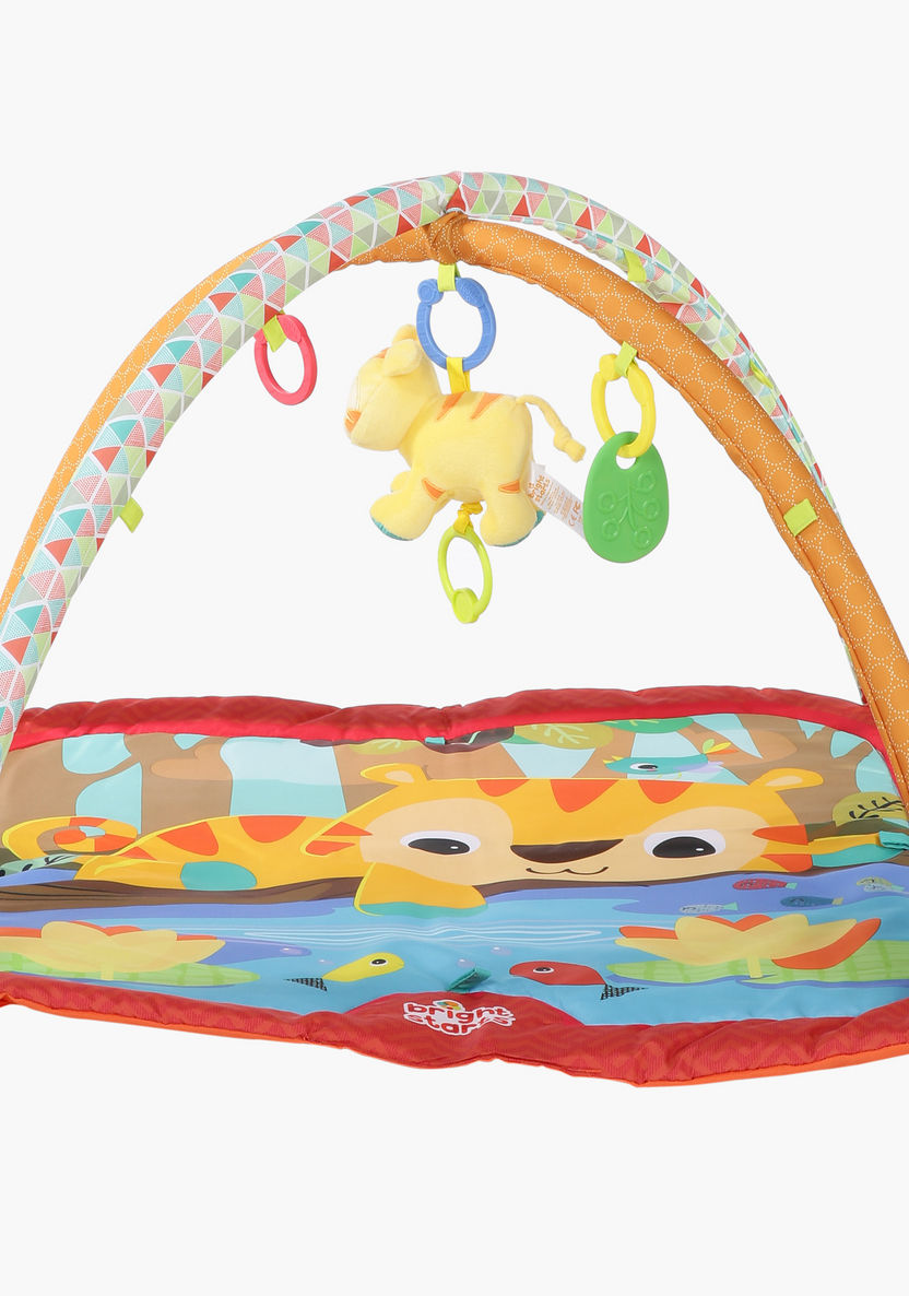 Bright Starts Play Gym and Mats-Baby and Preschool-image-0