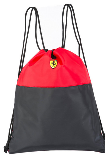 Ferrari Luxury Shoe Bag