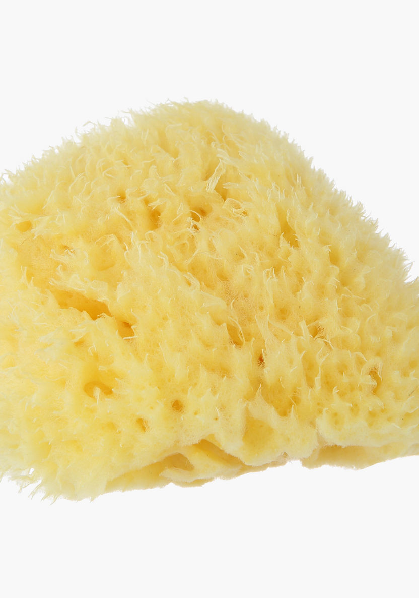 Bellini Honey Comb Bath Sponge-Bathtubs and Accessories-image-0