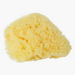Bellini Honey Comb Bath Sponge-Bathtubs and Accessories-thumbnail-0