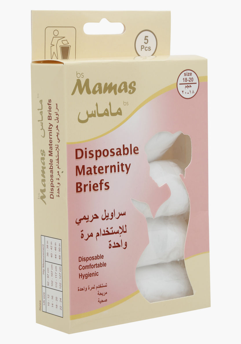 Mamas Disposable Maternity Briefs - Large-Underwear-image-0