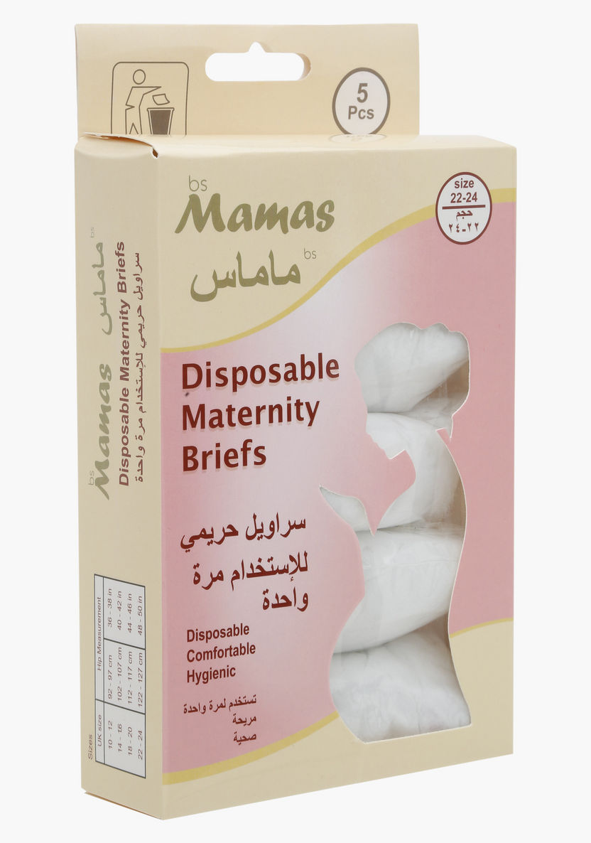 Mamas Disposable Maternity Briefs - Extra Large-Underwear-image-0