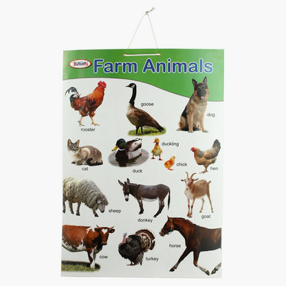 Buy Sterling Double Side Animal Chart for Babies Online in Qatar |  Centrepoint