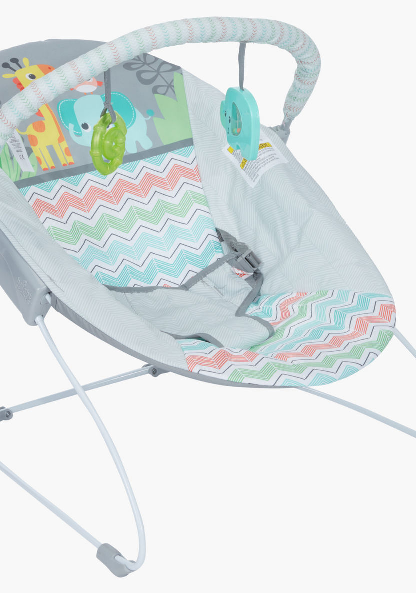 Bright Starts Giggle and See Safari Bouncer-Infant Activity-image-0