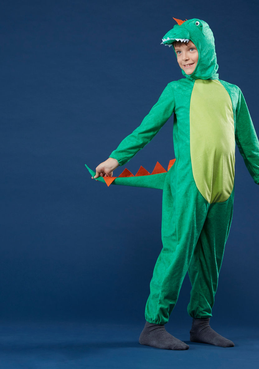 Dinosaur Costume-Gifts-image-0