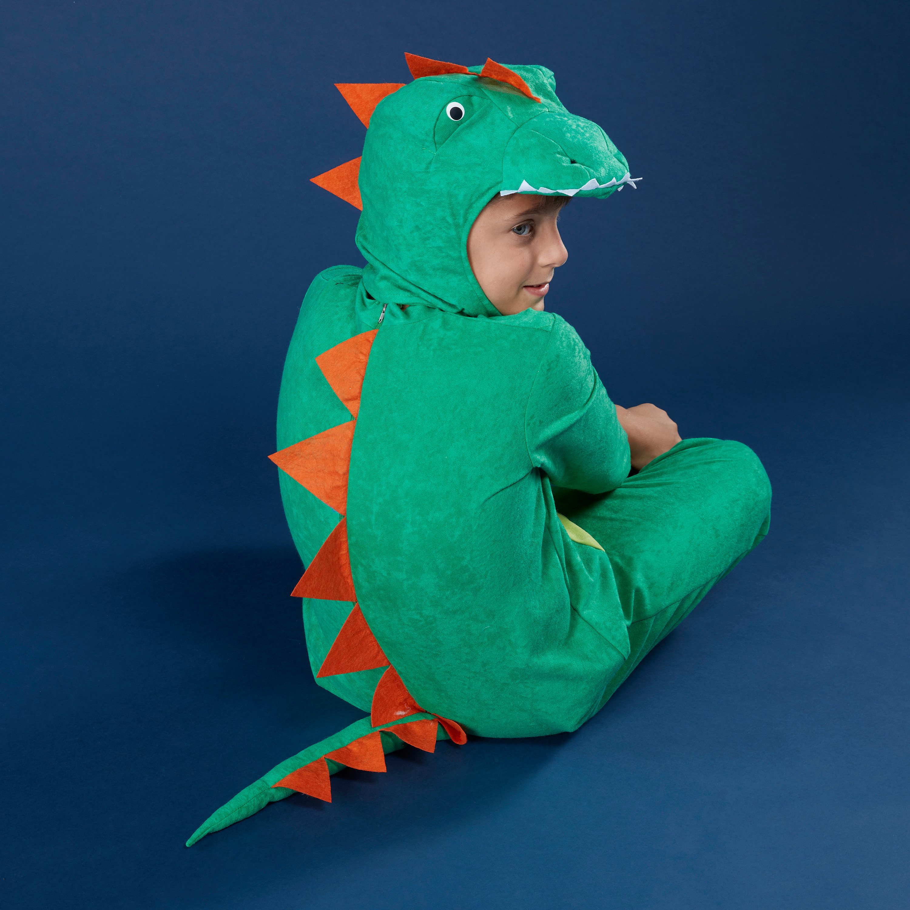 Dinosaur Costume-boys-clothing-costumes-image-2