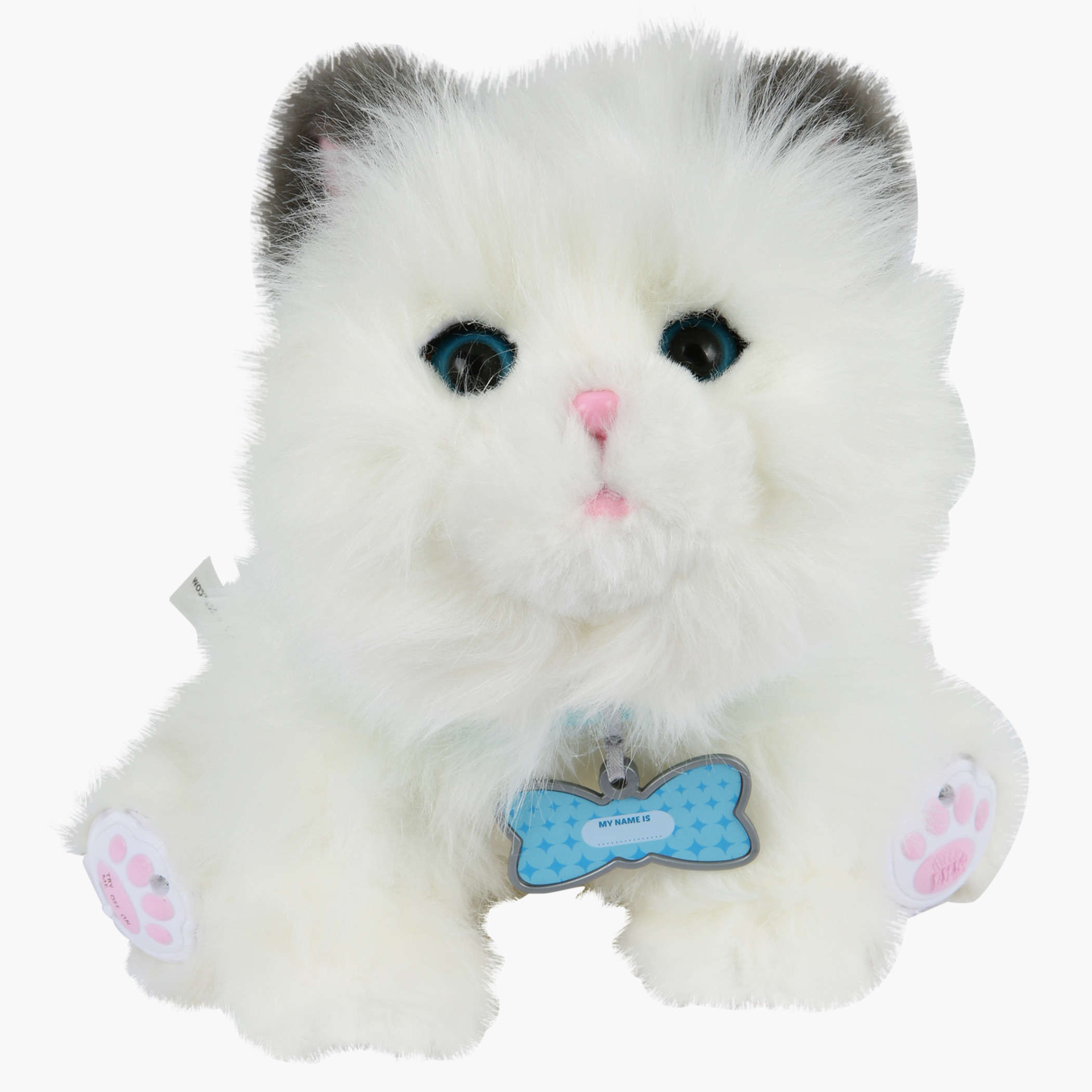 Cuddles my dream on sale kitten