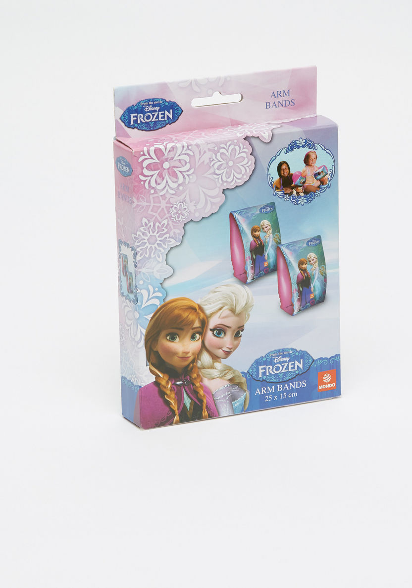 Frozen Printed Arm Bands-Beach and Water Fun-image-2