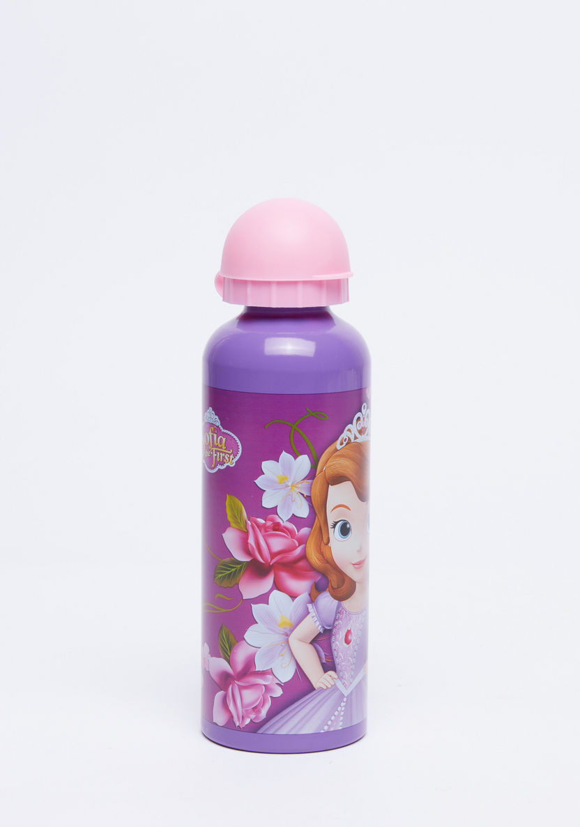 Sofia the Princess Printed Water Bottle with Strap - 500 ml-Water Bottles-image-0
