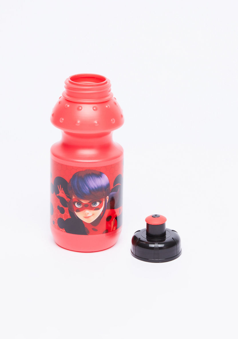 Miraculous Ladybug Printed Lunchbox with Water Bottle-Water Bottles-image-2