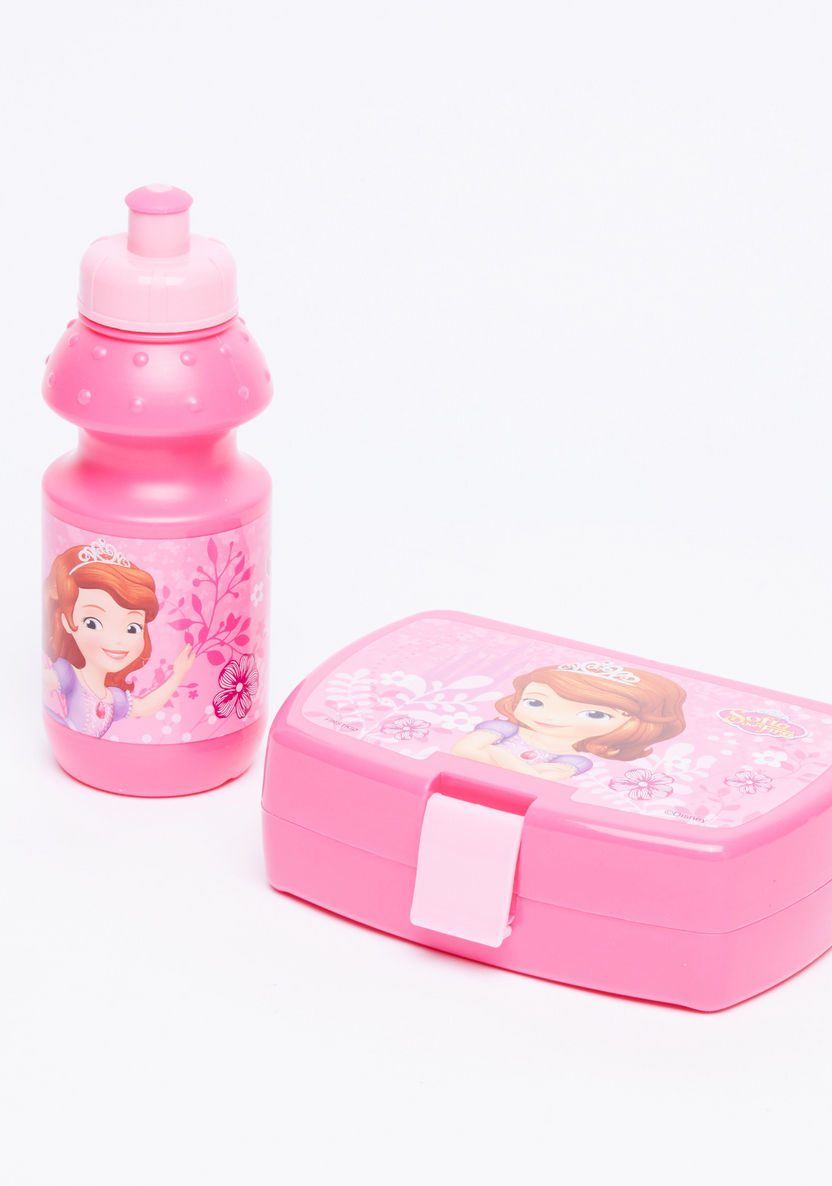Sofia the First Printed Lunchbox with Water Bottle-Water Bottles-image-0