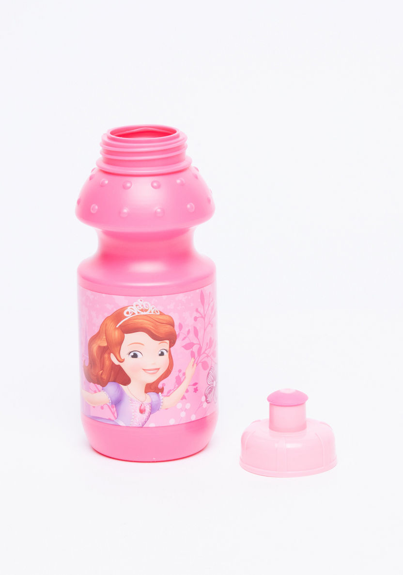 Sofia the First Printed Lunchbox with Water Bottle-Water Bottles-image-2