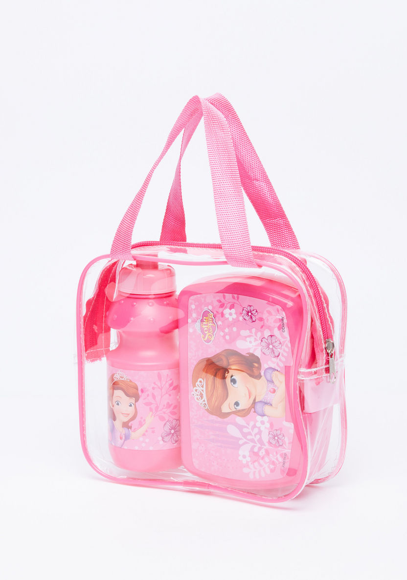 Sofia the First Printed Lunchbox with Water Bottle-Water Bottles-image-3