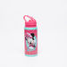 Minnie Mouse Printed Water Bottle-Water Bottles-thumbnail-0