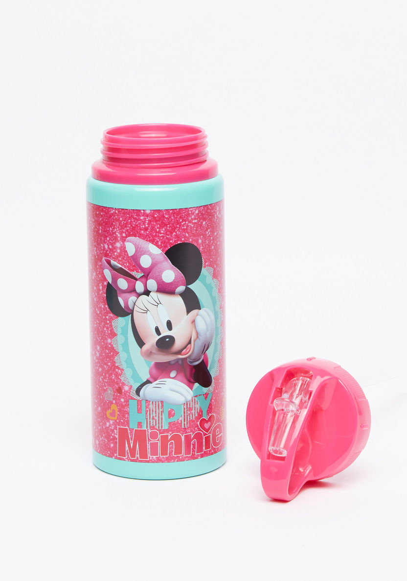 Minnie Mouse Printed Water Bottle-Water Bottles-image-2