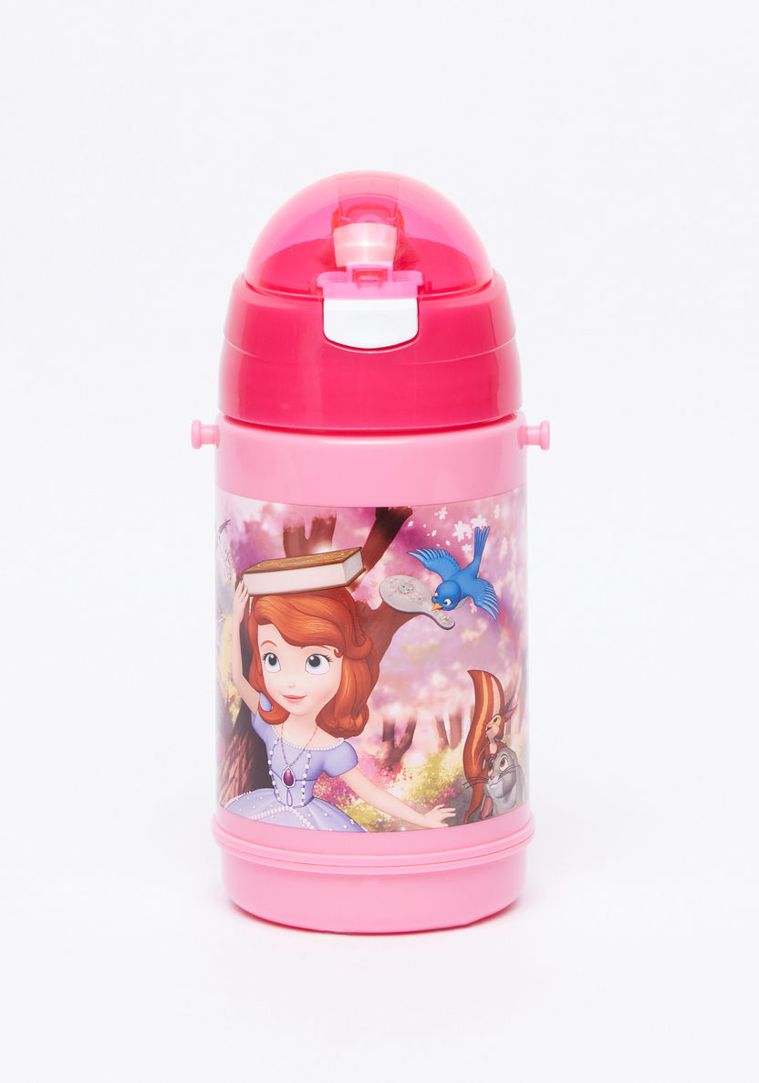 Sofia the First Printed Water Bottle with Straw-Water Bottles-image-0