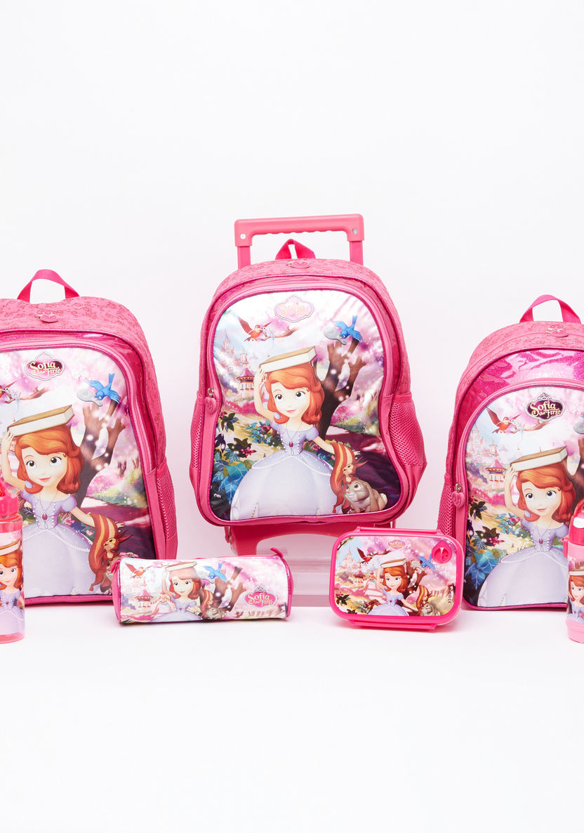Sofia the First Printed Water Bottle with Straw-Water Bottles-image-4