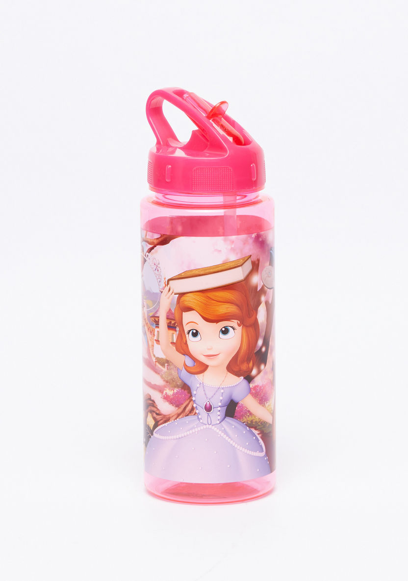Sofia the First Printed Water Bottle-Water Bottles-image-0
