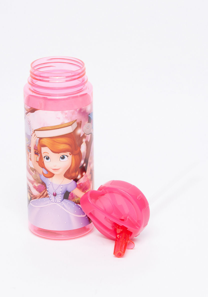 Sofia the First Printed Water Bottle-Water Bottles-image-2