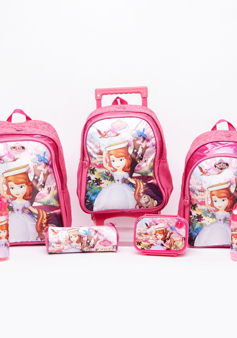 Sofia the First Printed Water Bottle-Water Bottles-image-3