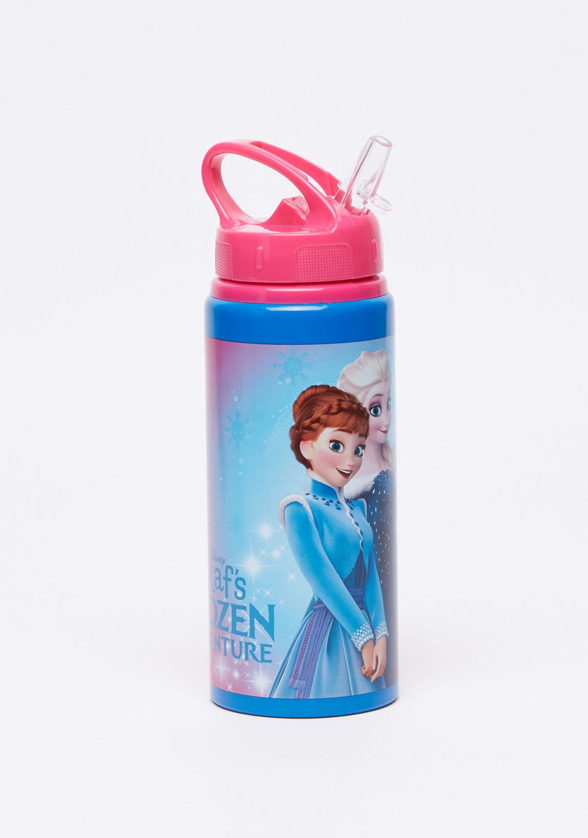 Frozen Printed Water Bottle-Water Bottles-image-2