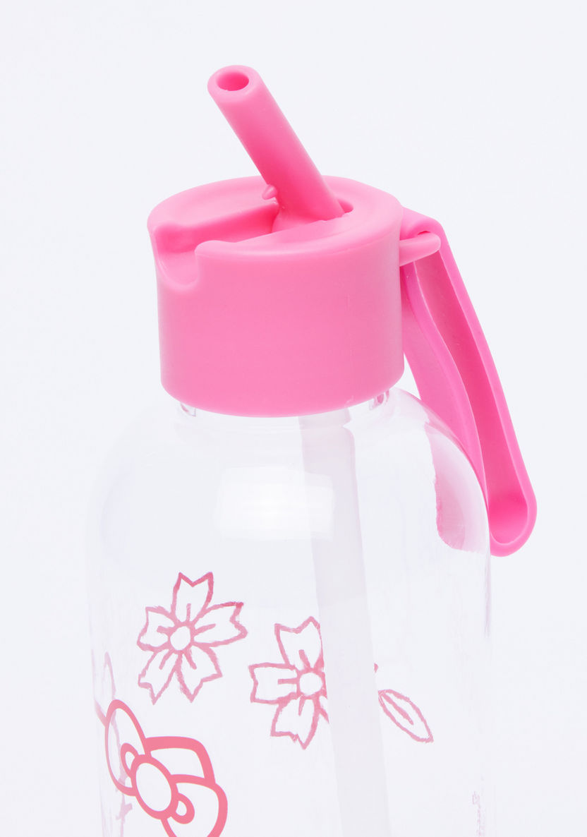 Hello Kitty Printed Water Bottle - 600 ml-Water Bottles-image-1