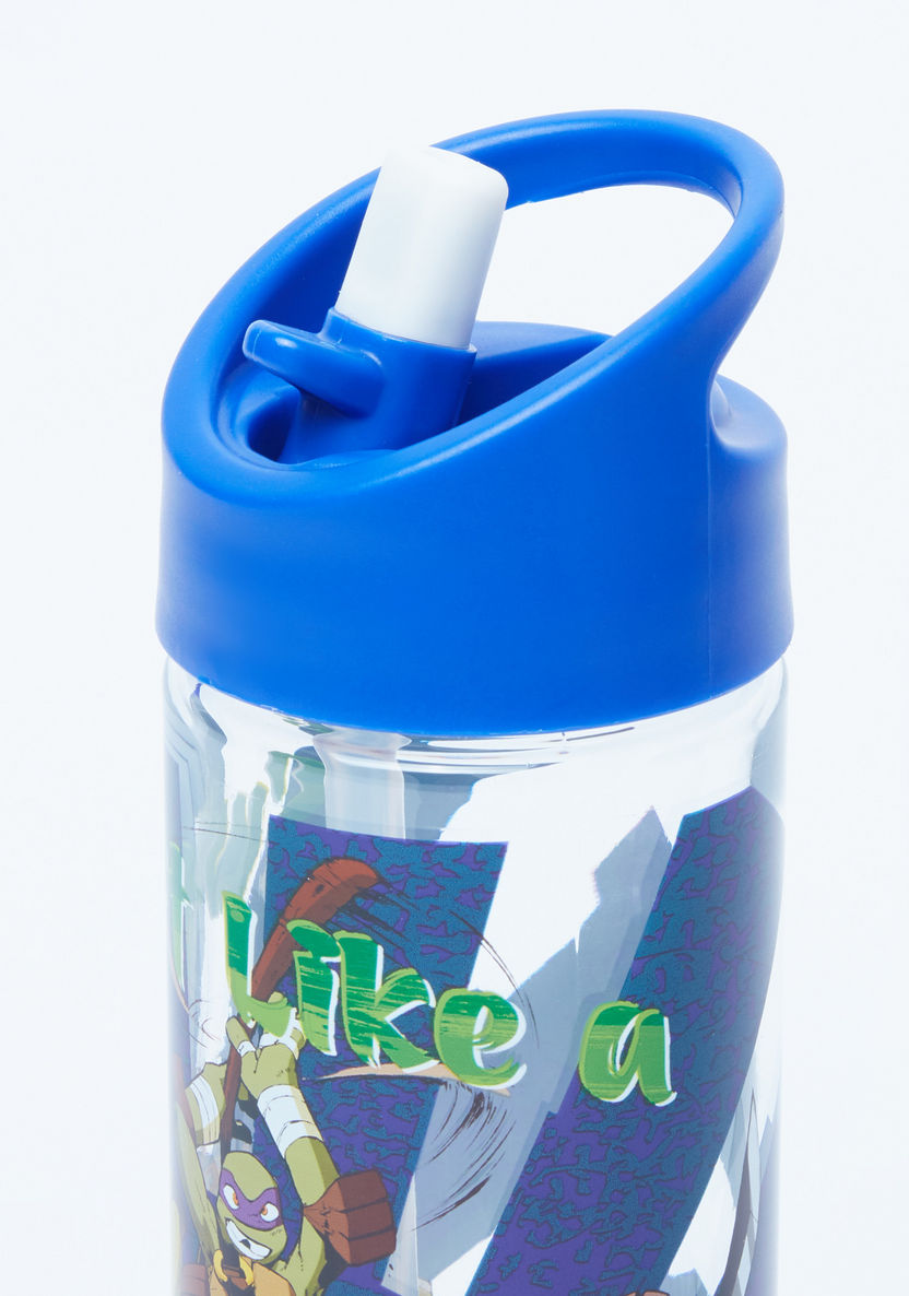 Ninja Turtle Printed Water Bottle with Spout - 500 ml-Water Bottles-image-1