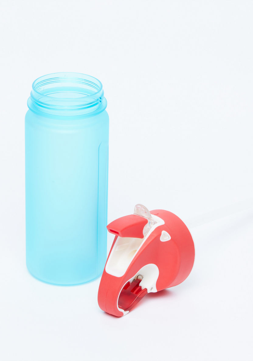 Juniors Water Bottle with Spout - 600 ml-Water Bottles-image-1