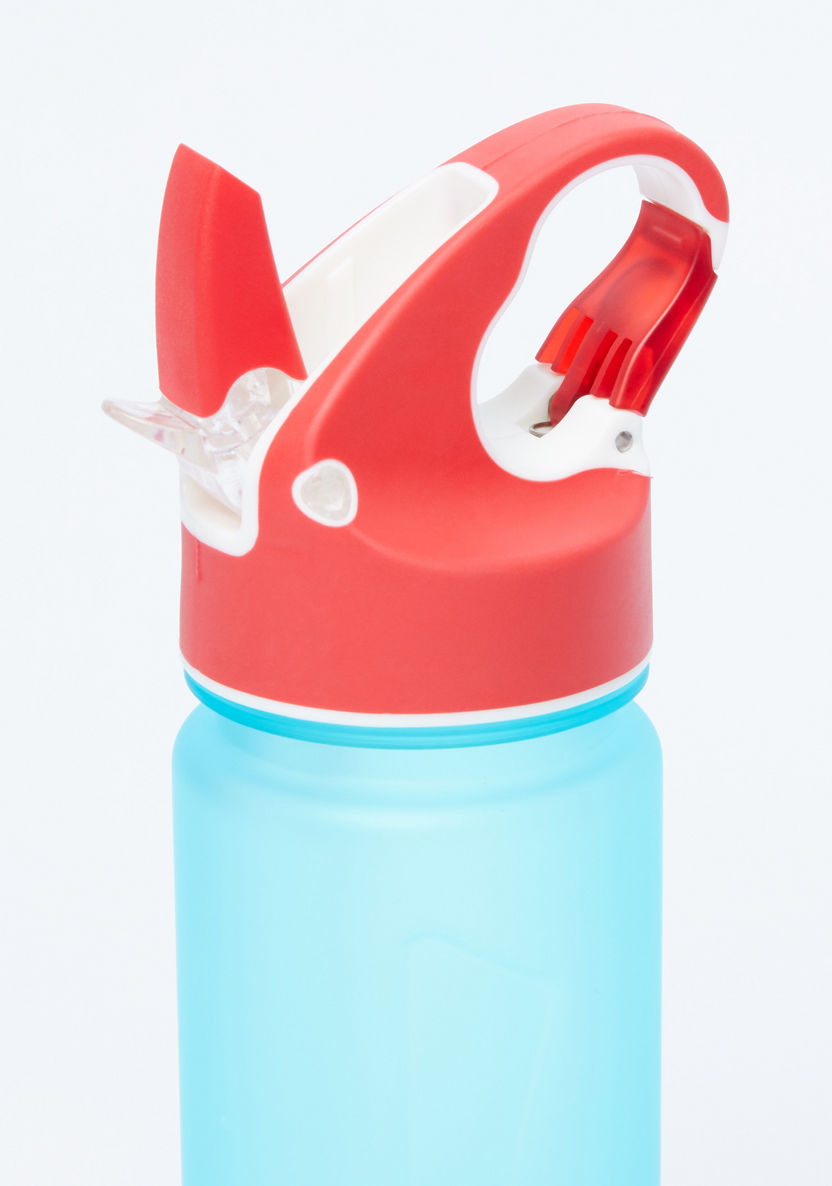 Juniors Water Bottle with Spout - 600 ml-Water Bottles-image-2