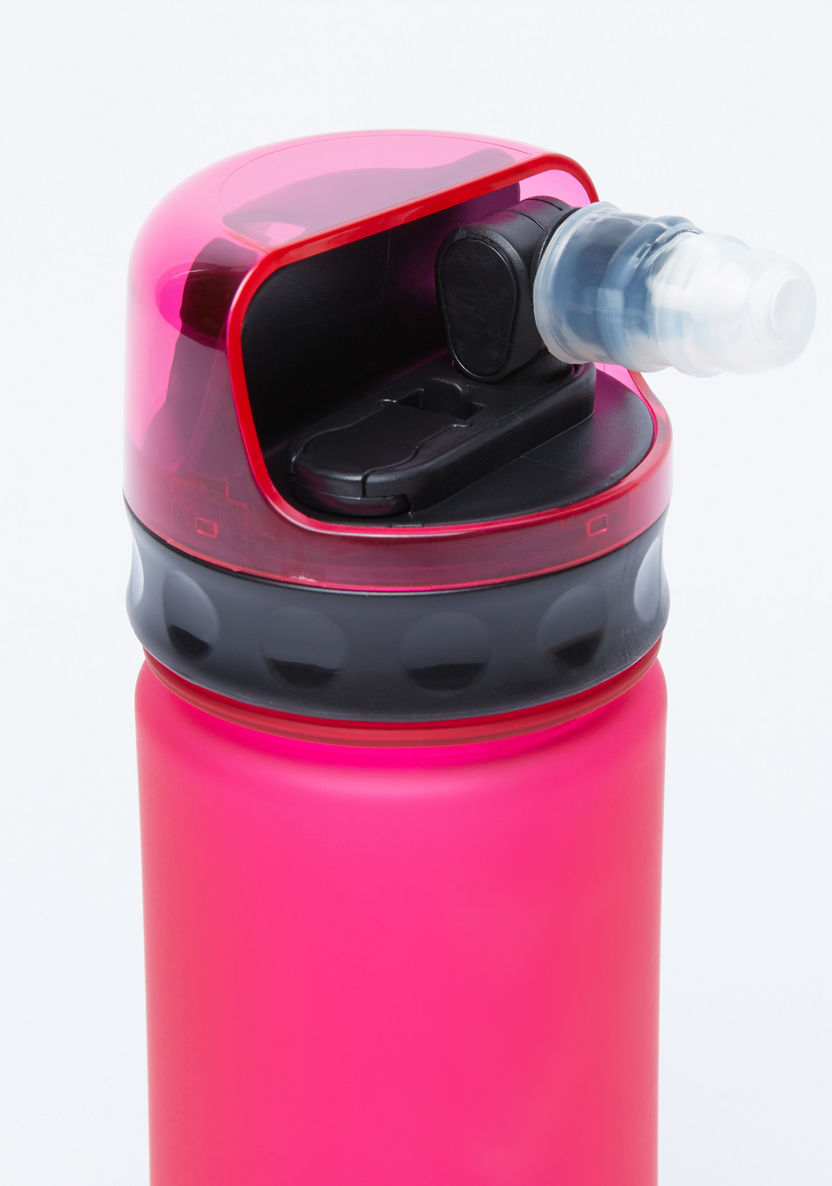Juniors Water Bottle with Spout - 400 ml-Water Bottles-image-2