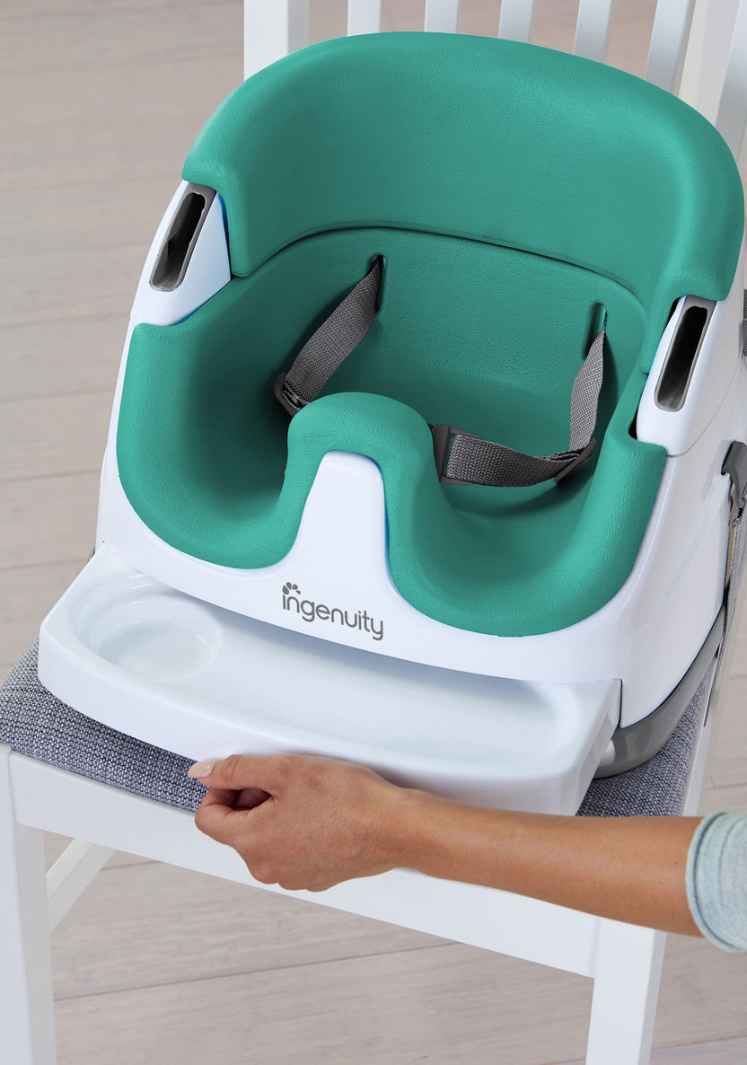 Ingenuity 2-in-1 Baby Booster Seat-High Chairs and Boosters-image-10