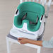 Ingenuity 2-in-1 Baby Booster Seat-High Chairs and Boosters-thumbnail-10