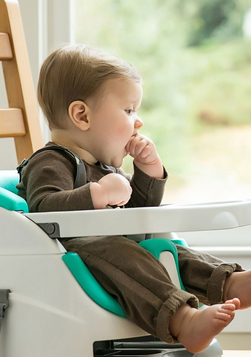 Ingenuity 2-in-1 Baby Booster Seat-High Chairs and Boosters-image-14