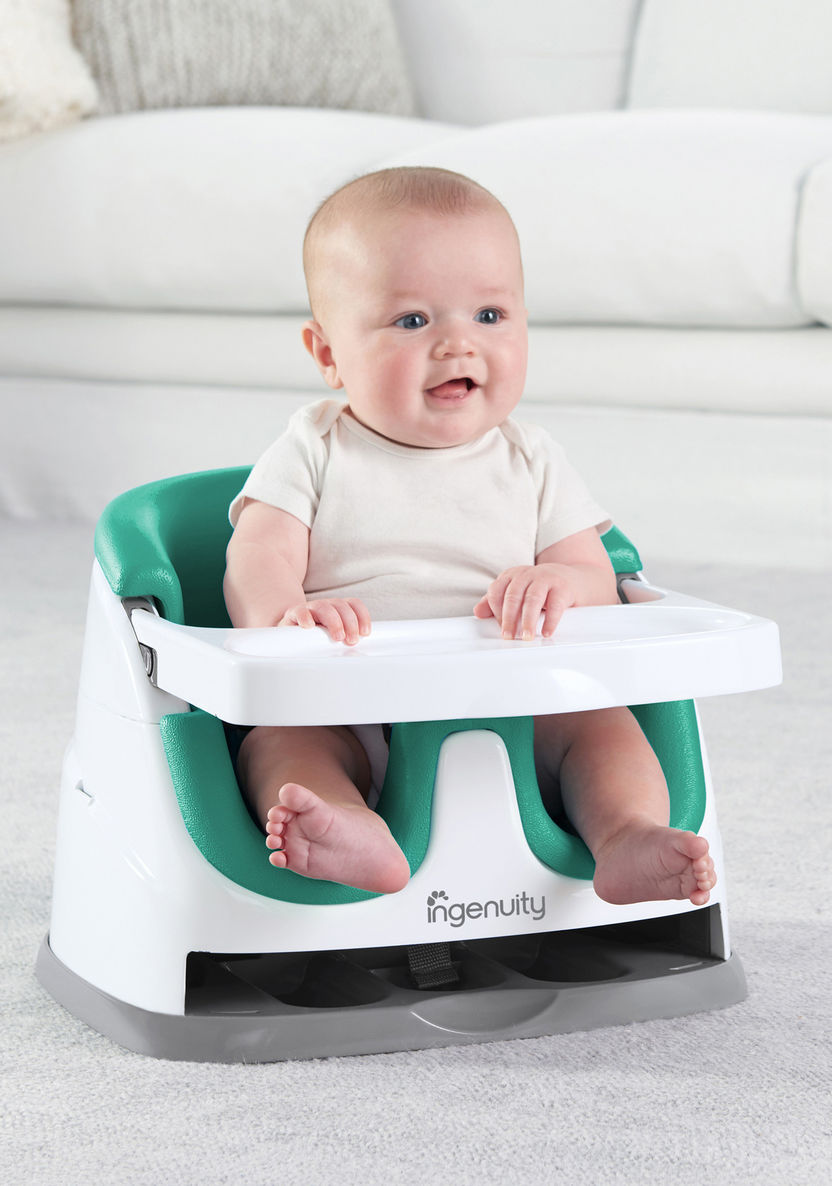 Ingenuity 2-in-1 Baby Booster Seat-High Chairs and Boosters-image-1