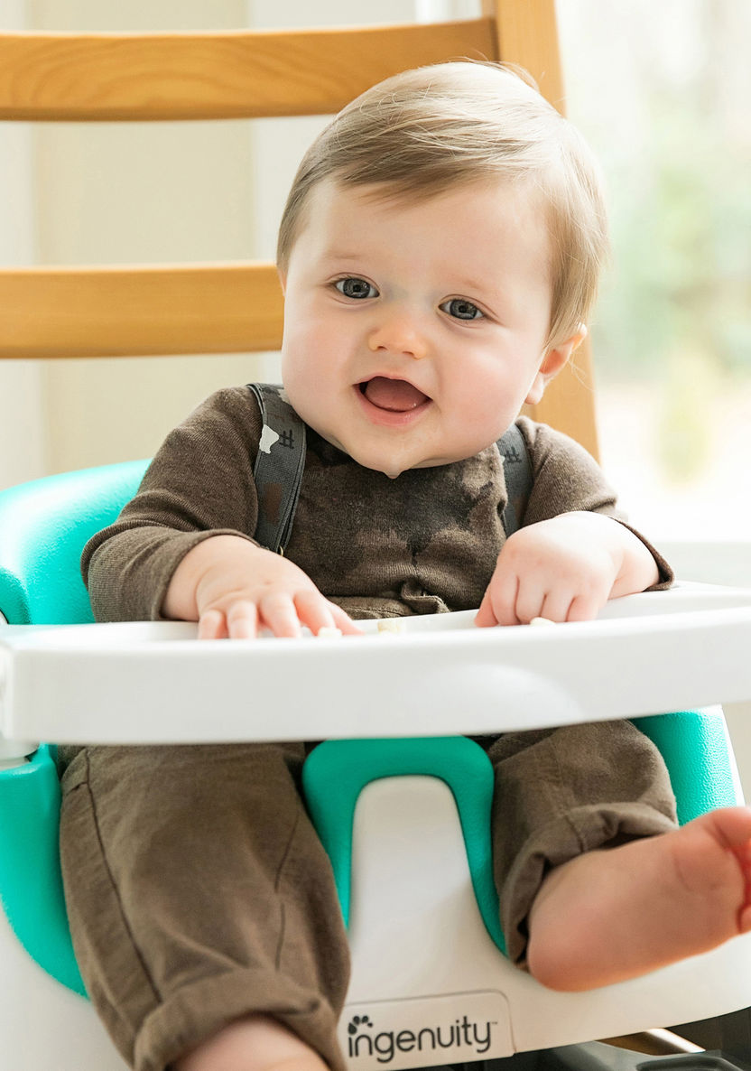 Ingenuity 2-in-1 Baby Booster Seat-High Chairs and Boosters-image-3