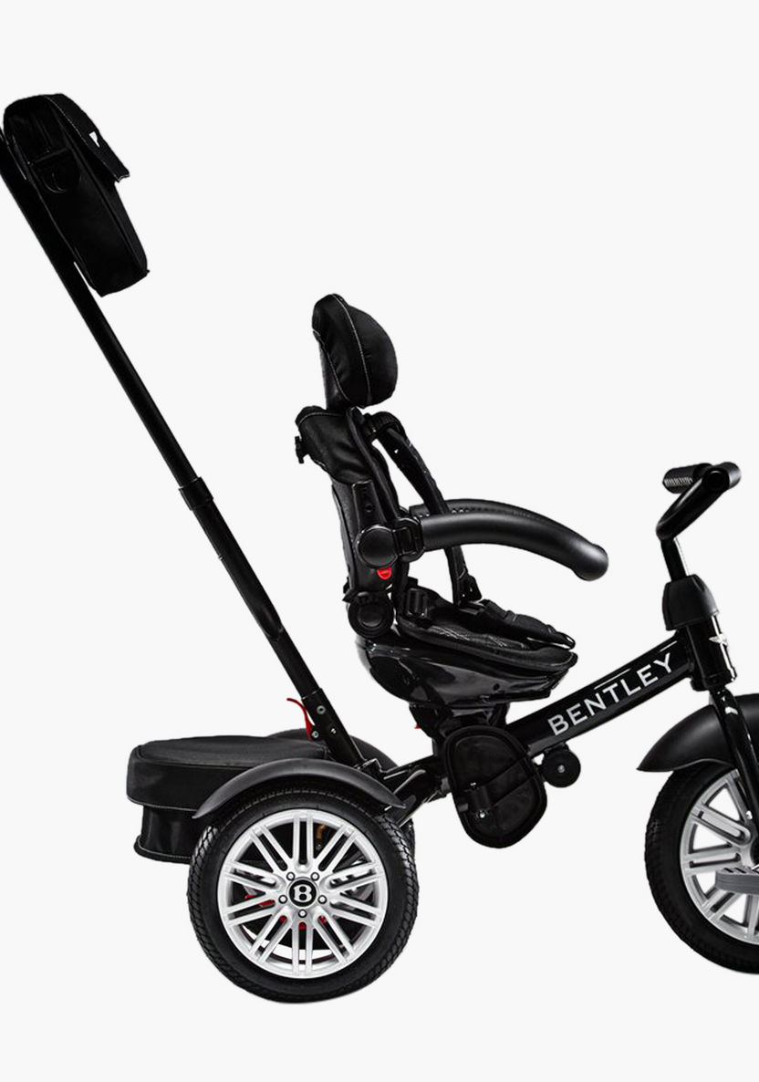 Bentley Tricycle Stroller with Canopy-Strollers-image-4