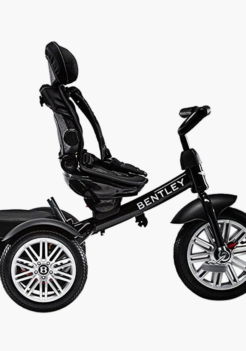 Bentley Tricycle Stroller with Canopy-Strollers-image-5
