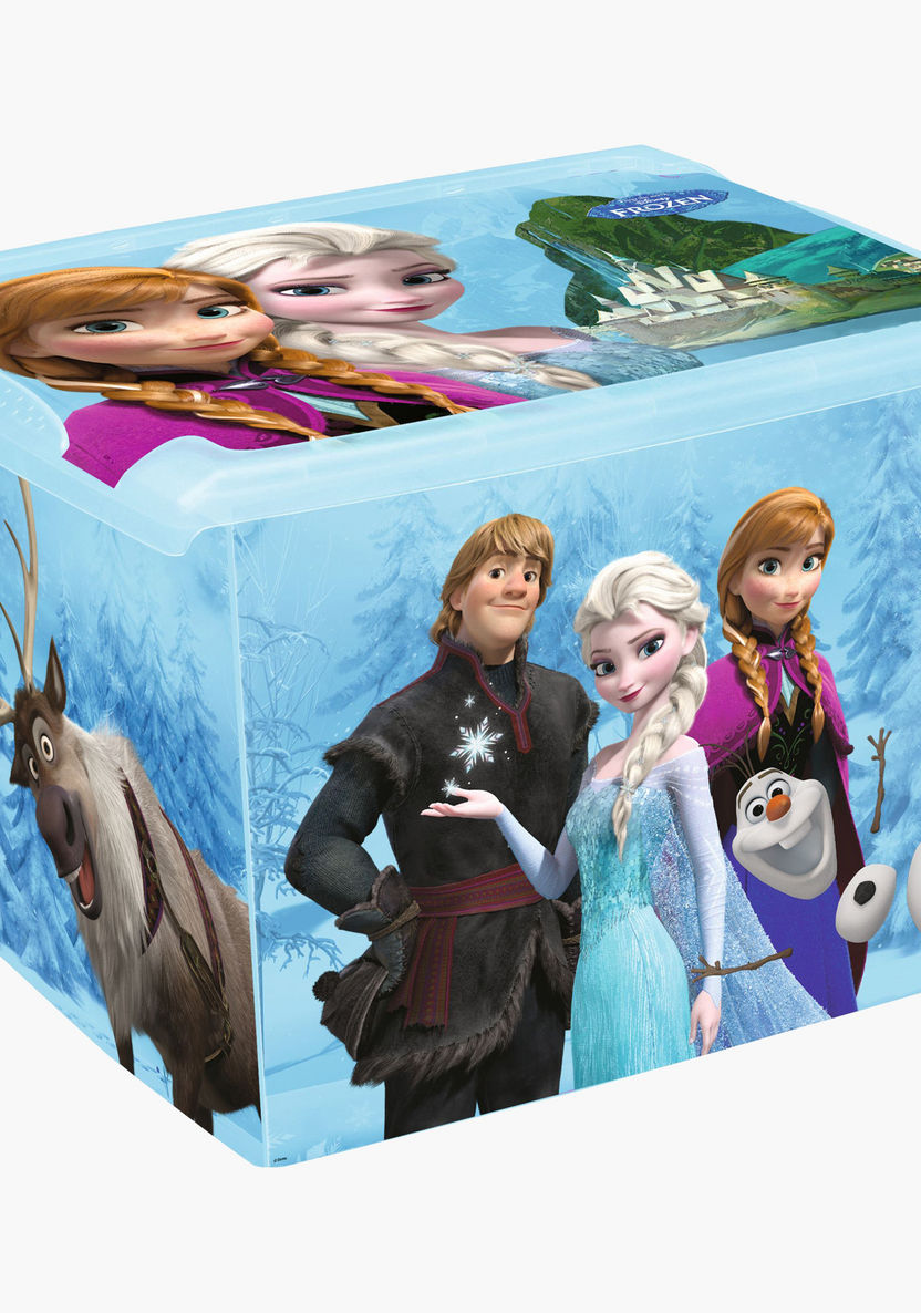 Keeeper Frozen Printed Decorative Storage Box-Wardrobes and Storage-image-0