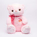 Juniors Plush Bear Soft Toy-Plush Toys-thumbnail-1