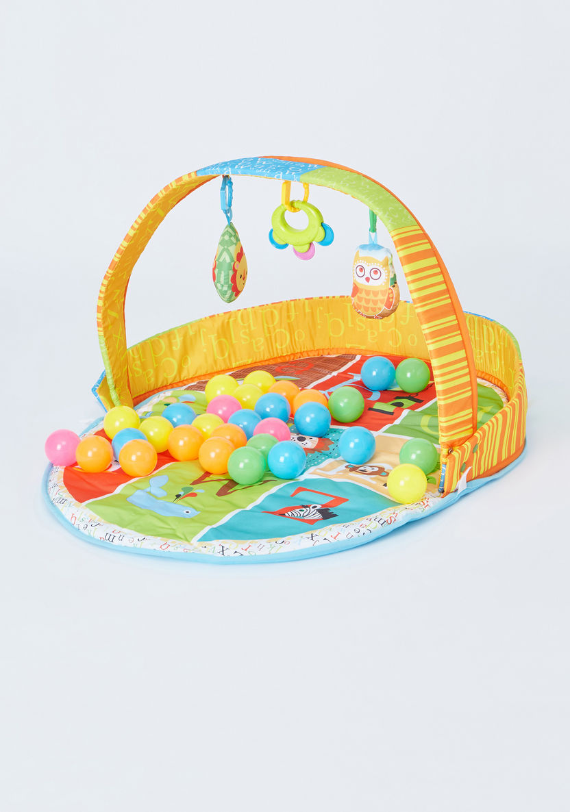 Juniors 2-in-1 Ball Pool and Playgym-Gifts-image-0