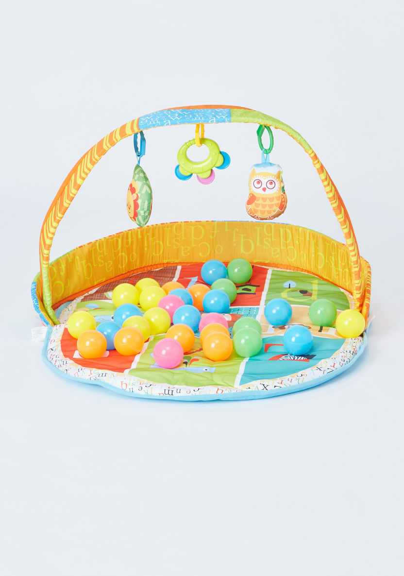 Juniors 2-in-1 Ball Pool and Playgym-Gifts-image-1