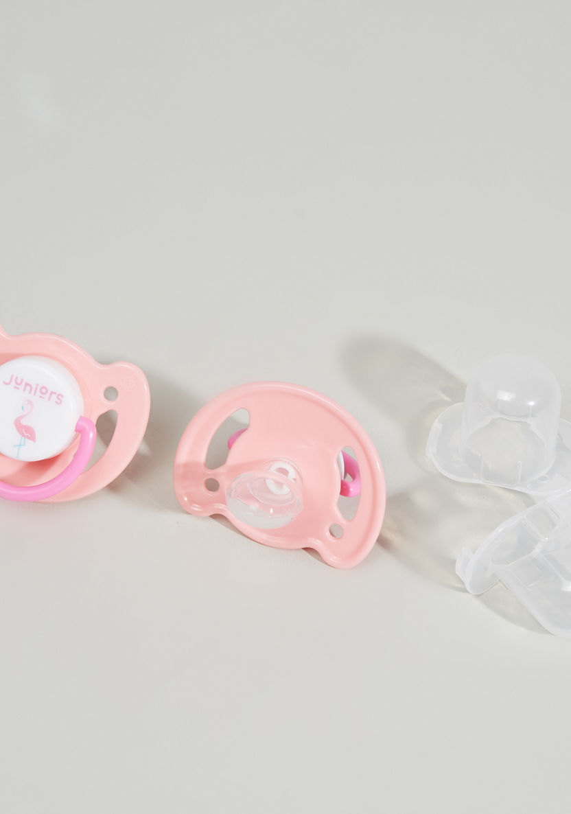 Juniors Flamingo Printed Soother-Pacifiers-image-0